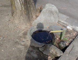 いたち川の水辺と清水 水神社 いたち川の水辺と清水 水神社