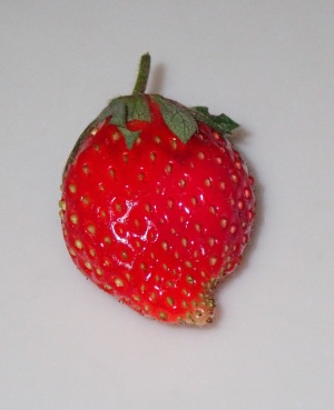 イチゴ