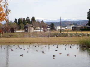 散居村ミュージアムより