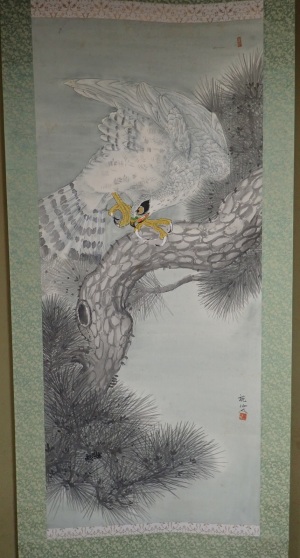 白鷹 白鷹